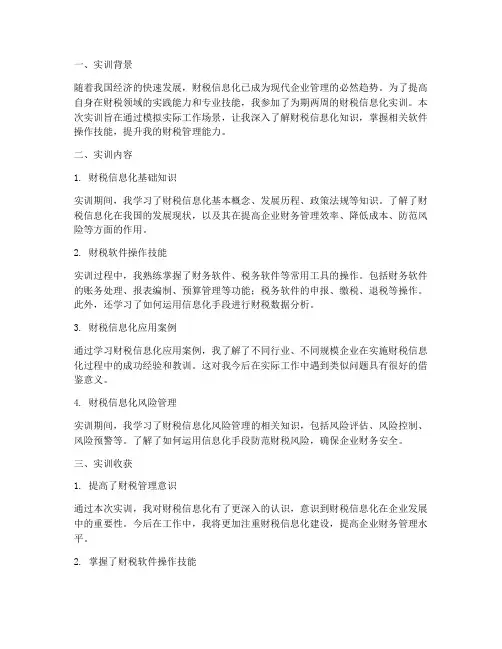 财税信息化实训总结报告