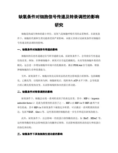 缺氧条件对细胞信号传递及转录调控的影响研究
