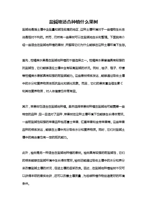 盐碱地适合种植什么果树