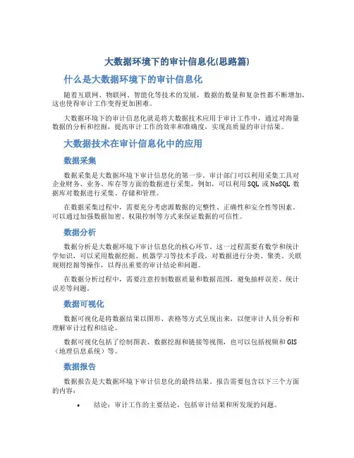 大数据环境下的审计信息化(思路篇)