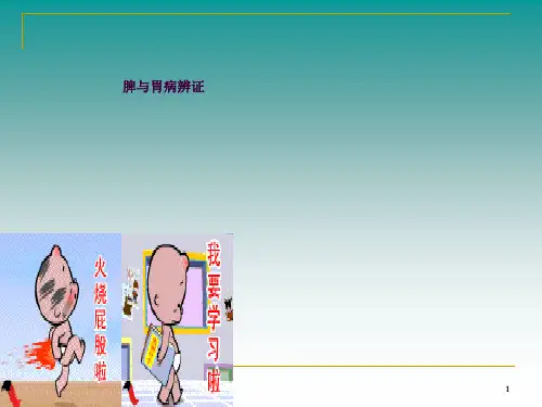 脾胃病辨证ppt课件