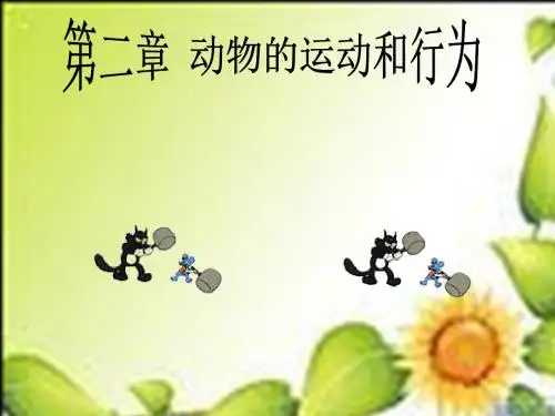 人教版生物八上第五单元第二章动物的运动和行为课件