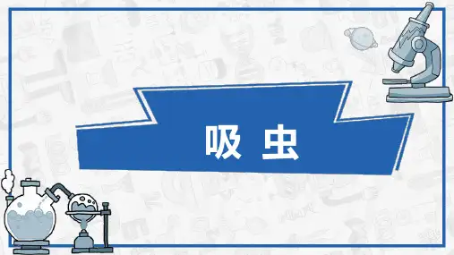 医学蠕虫—吸虫(寄生虫检验技术课件)
