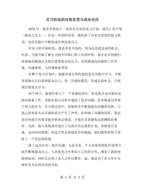 见习阶段的自我反思与成长经历