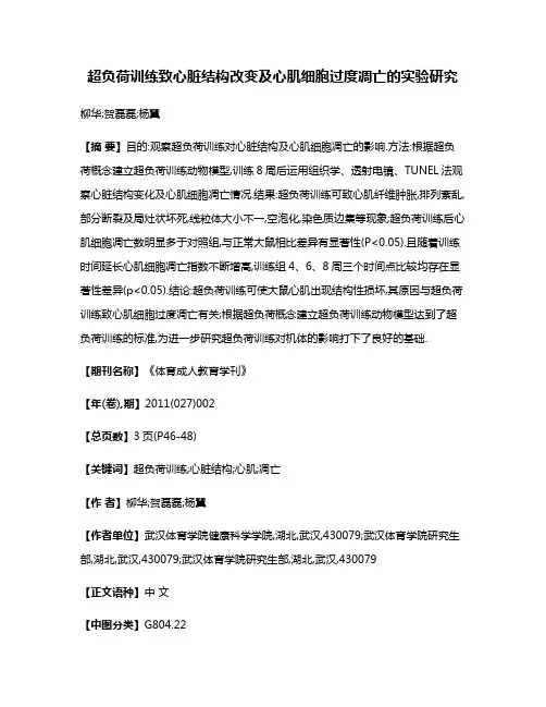 超负荷训练致心脏结构改变及心肌细胞过度凋亡的实验研究