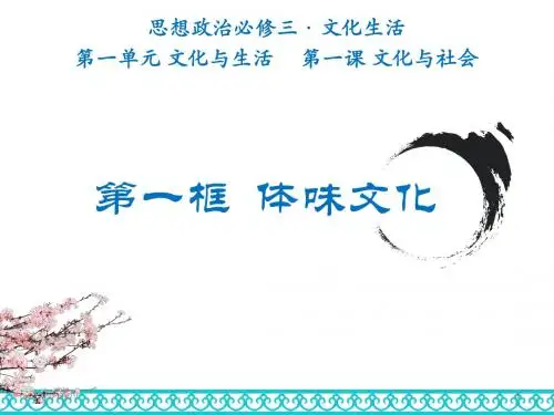 人教版高中政治必修三课件-1.1 体味文化 (共20张PPT)