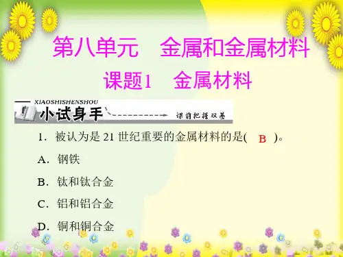 人教版九年级化学下册(全册)复习课件汇总