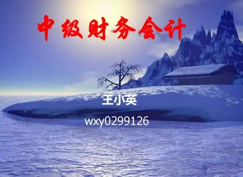 第1章财务会计基本理论-PPT精选文档