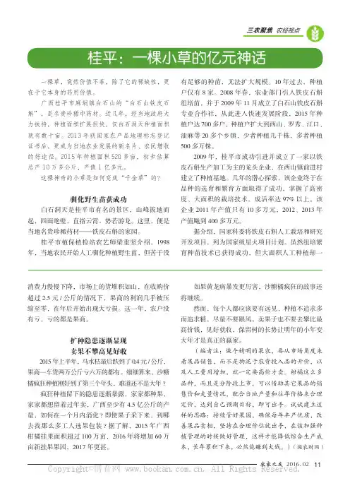 桂平：一棵小草的亿元神话