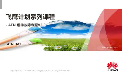 2013年天津联通IPRAN ATN 硬件培训