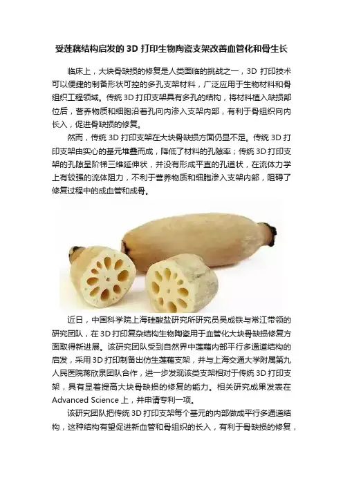 受莲藕结构启发的3D打印生物陶瓷支架改善血管化和骨生长