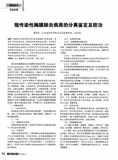 猪传染性胸膜肺炎病原的分离鉴定及防治