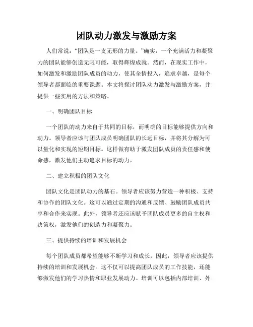 团队动力激发与激励方案