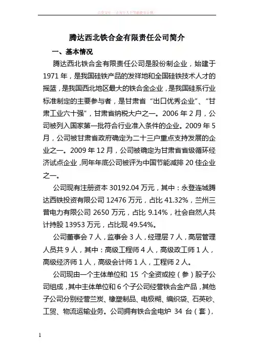 腾达西北铁合金有限责任公司公司简介(裴总) (1)