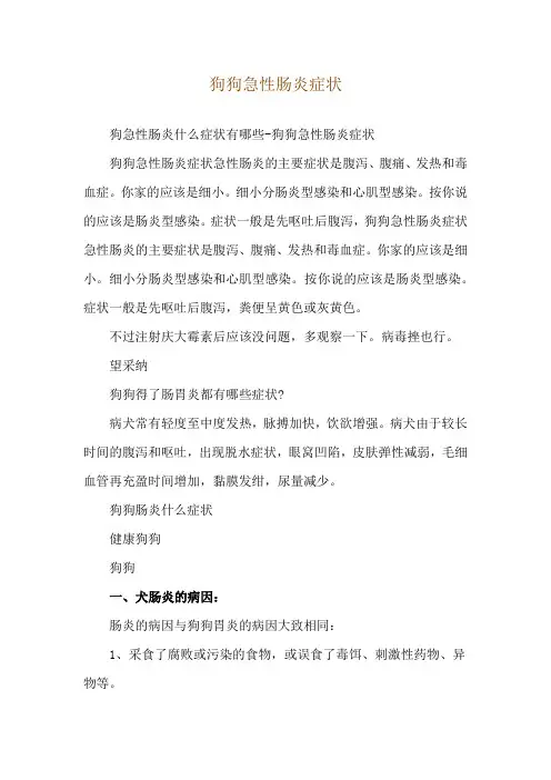 狗狗急性肠炎症状