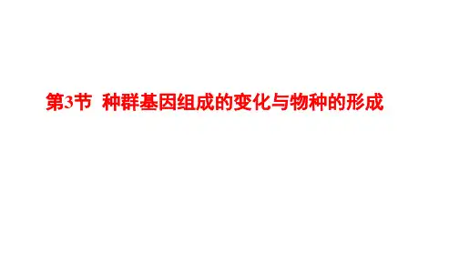 高中生物人教2019必修2课件第6章第3节种群基因组成的变化与物种的形成