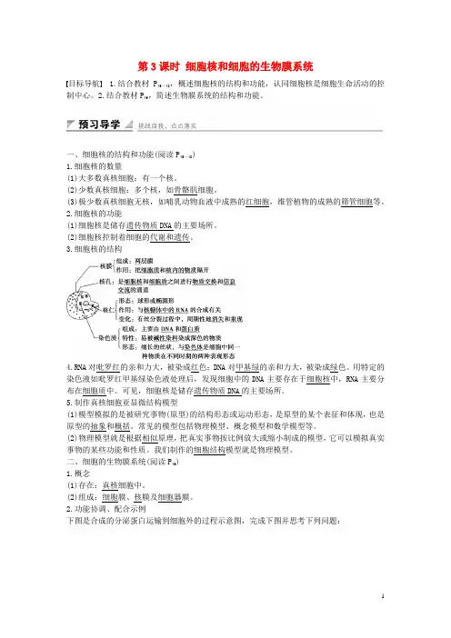 高中生物 3.2.3 细胞核和细胞的生物膜系统课时作业 苏教版必修1