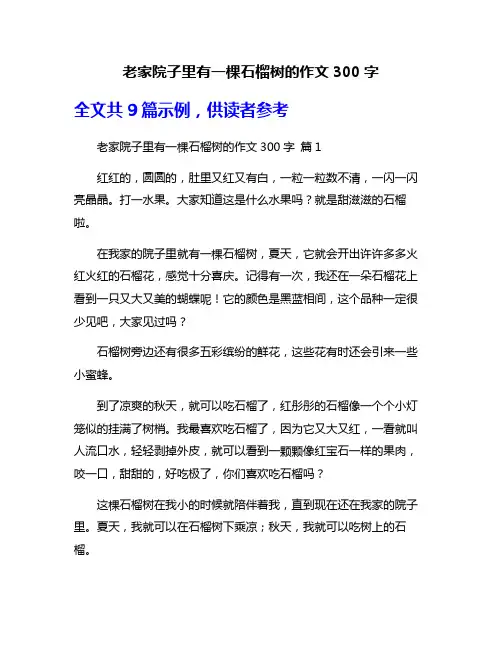 老家院子里有一棵石榴树的作文300字