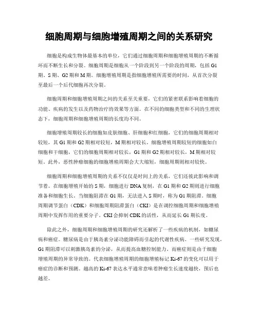 细胞周期与细胞增殖周期之间的关系研究