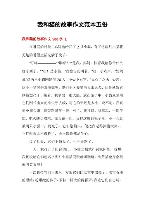 我和猫的故事作文范本五份