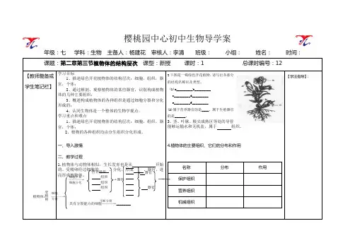 导学案第二章第三节植物体的结构层次