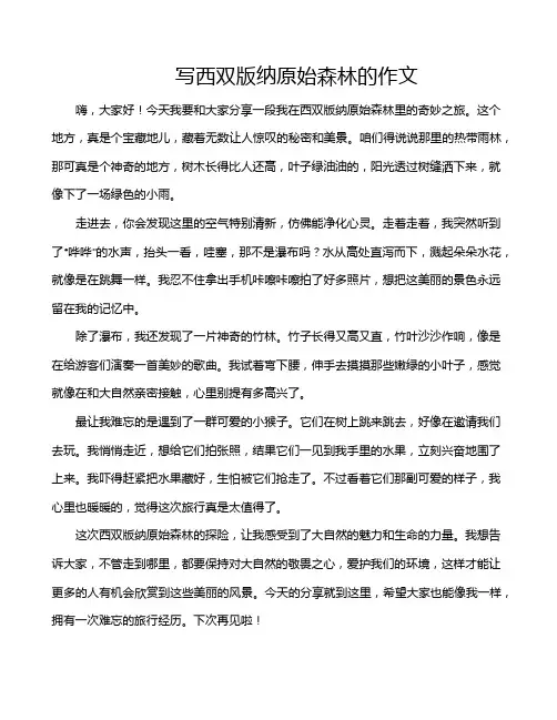 写西双版纳原始森林的作文