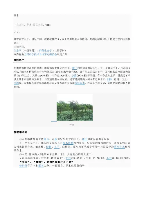 乔木分类