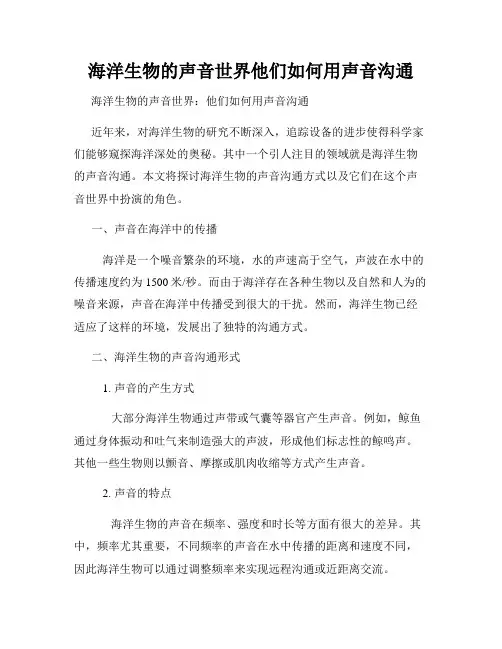 海洋生物的声音世界他们如何用声音沟通