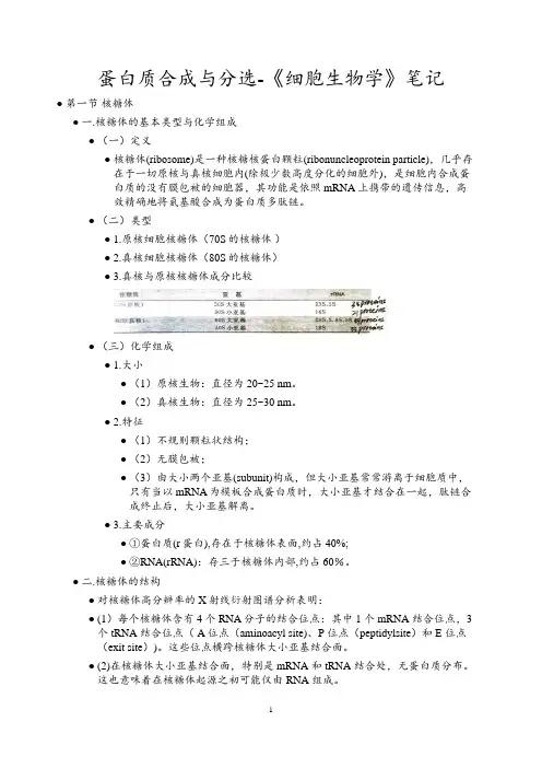 蛋白质合成与分选-《细胞生物学》笔记