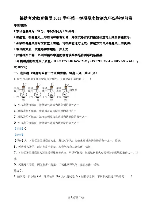 【初三上科学】浙江省杭州市锦绣育才教育集团2023-2024学年九年级上学期期末科学试题(解析版)
