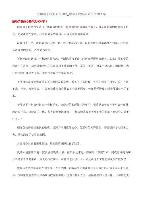它触动了我的心灵800_触动了我的心灵作文800字