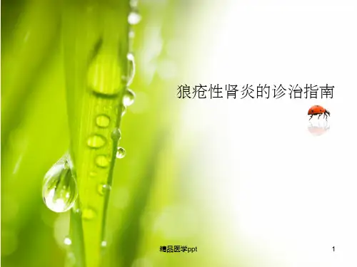 狼疮性肾炎的临床诊治