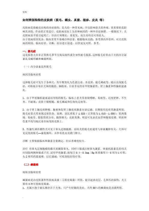 如何辨别狗狗的皮肤病