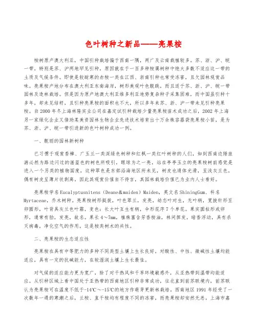 色叶树种之新品——亮果桉