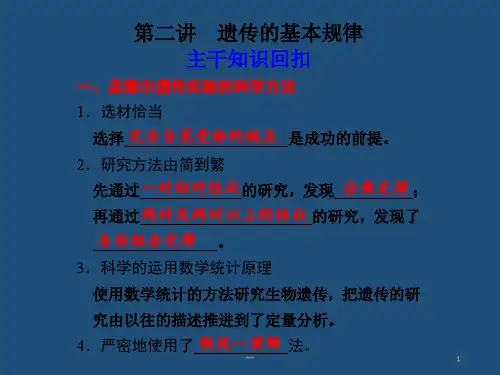 高中生物：遗传的基本规律PPT课件