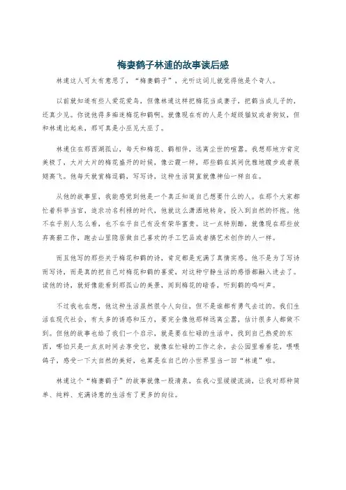 梅妻鹤子林逋的故事读后感