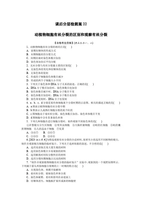 高中生物课时作业(必修第一册)课后分层检测案22