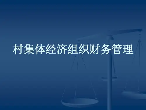村集体经济组织财务管理详解精品PPT课件