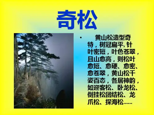黄山奇石第一课时