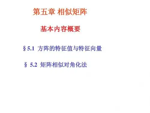 第五章相似矩阵