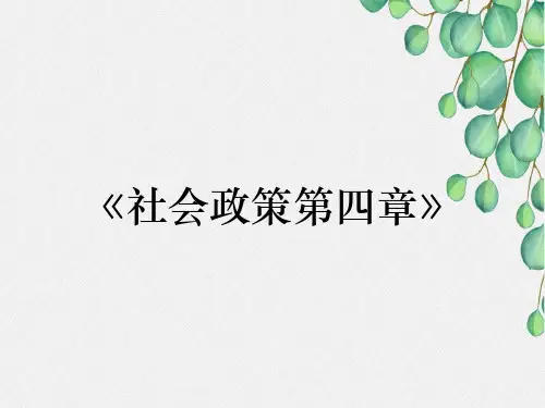 《社会政策第四章》