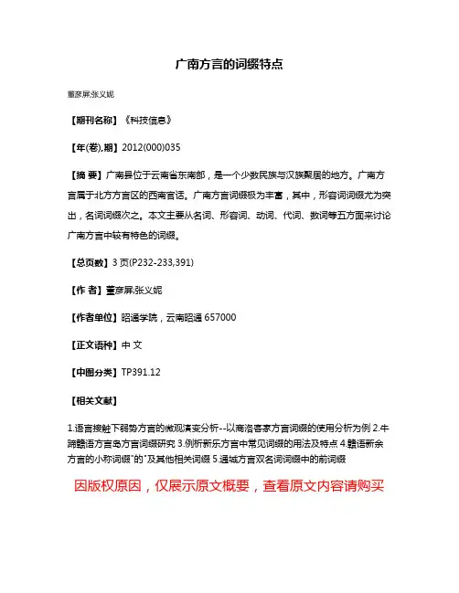 广南方言的词缀特点