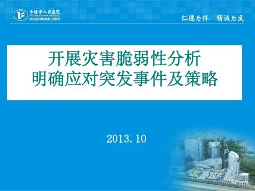 脆弱性分析2