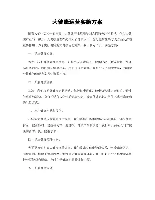 大健康运营实施方案