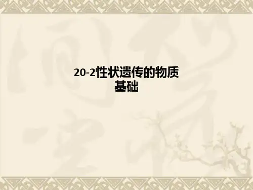 20-2性状遗传的物质基础-PPT课件