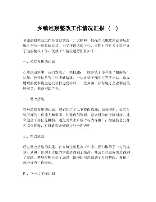 乡镇巡察整改工作情况汇报 (一)