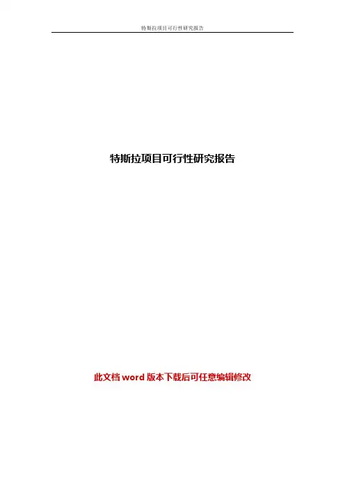 特斯拉项目商业计划书