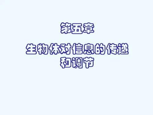 沪科版生命科学高二上5-1《动物体对外界信息的获取》PPT课件15