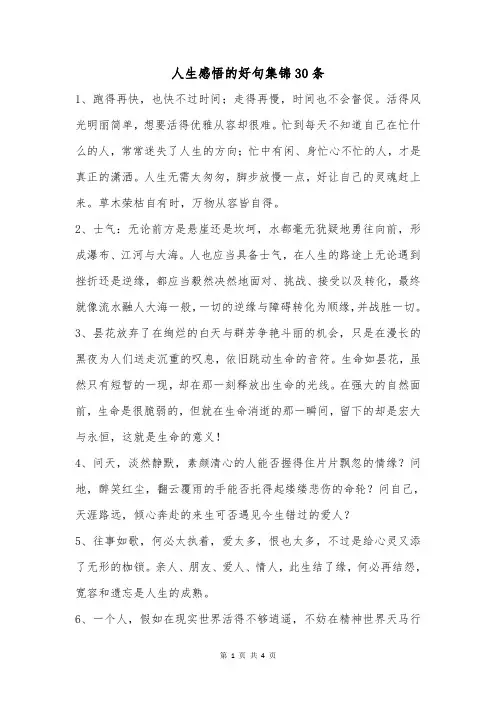 人生感悟的好句集锦30条