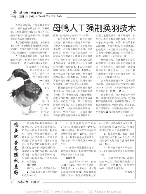母鸭人工强制换羽技术等2则